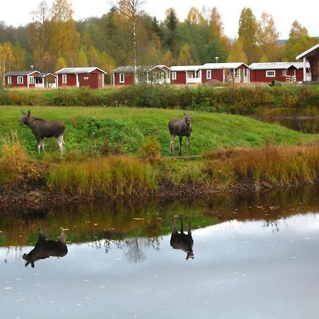 Klaralvens Camping Hotel Stöllet Стая снимка