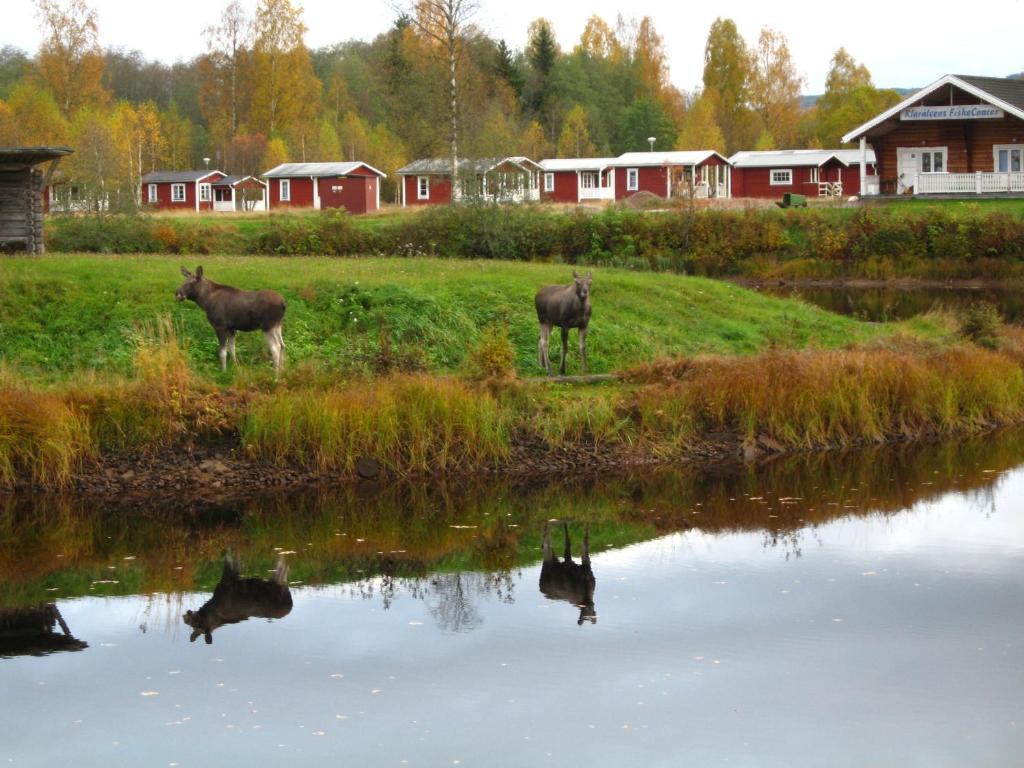 Klaralvens Camping Hotel Stöllet Стая снимка